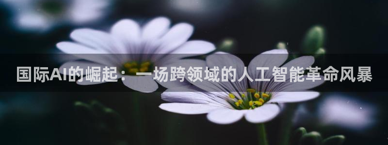 国际AI的崛起：一场跨领域的人工智能革命风暴