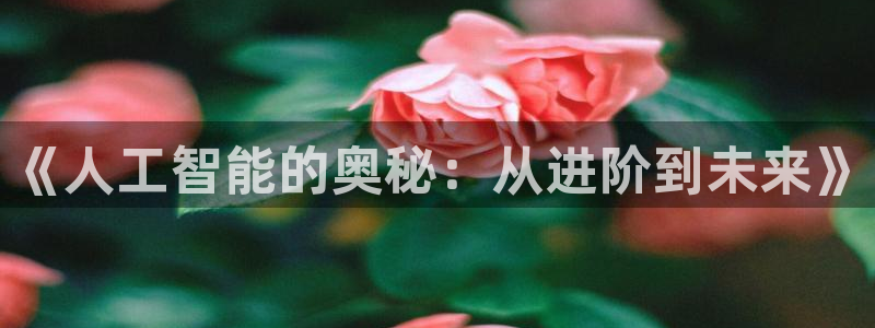 《人工智能的奥秘：从进阶到未来》