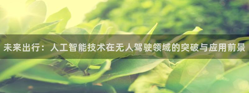 未来出行：人工智能技术在无人驾驶领域的突破与应用前景