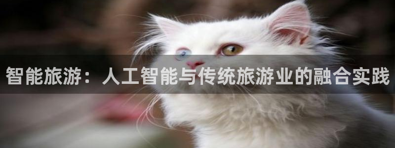 智能旅游：人工智能与传统旅游业的融合实践