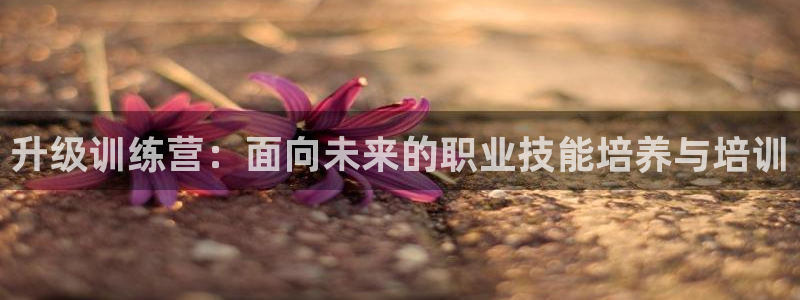 升级训练营：面向未来的职业技能培养与培训