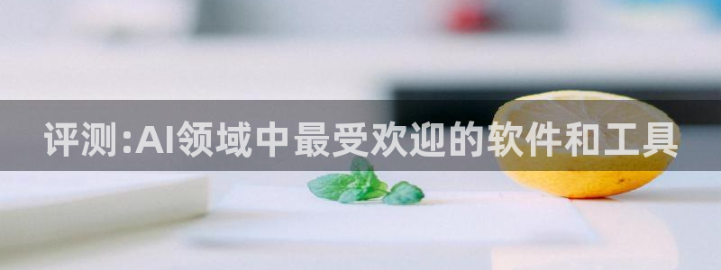 评测:AI领域中最受欢迎的软件和工具