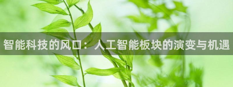 智能科技的风口：人工智能板块的演变与机遇