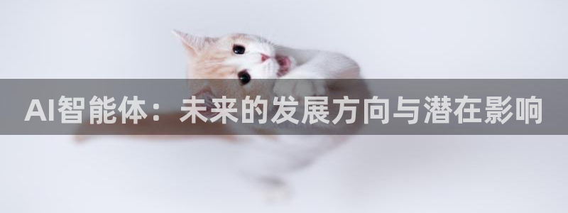 AI智能体：未来的发展方向与潜在影响