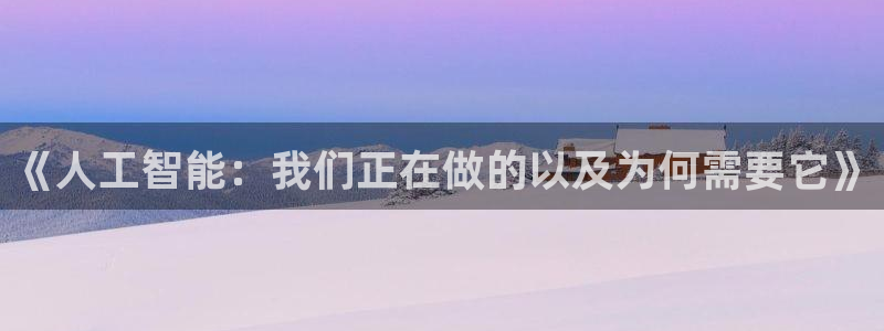 《人工智能：我们正在做的以及为何需要它》