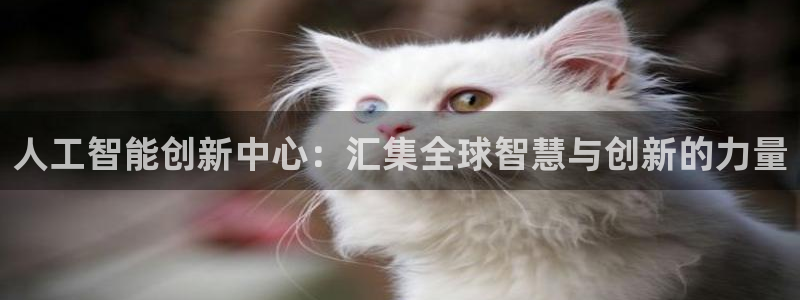 人工智能创新中心：汇集全球智慧与创新的力量