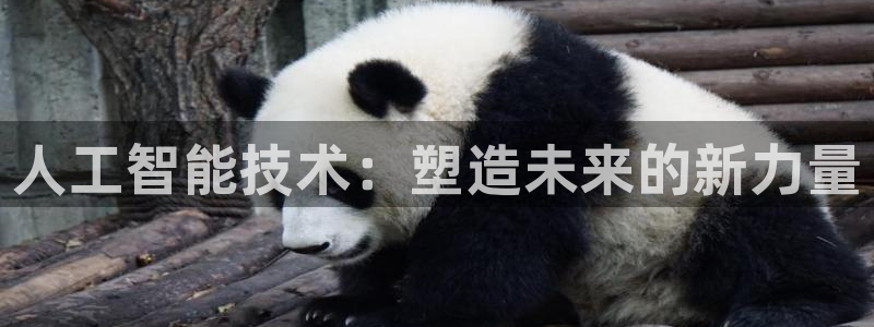 人工智能技术：塑造未来的新力量