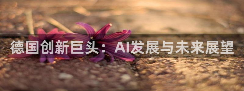 德国创新巨头：AI发展与未来展望