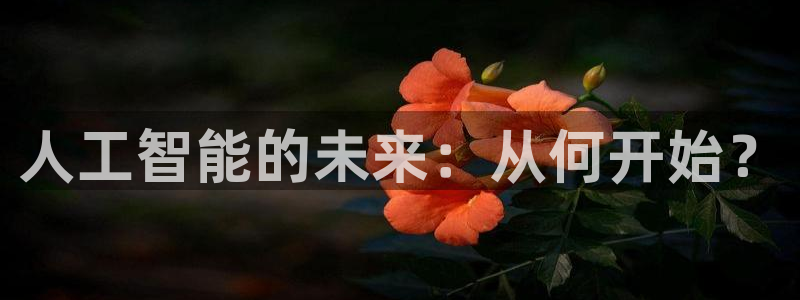 人工智能的未来：从何开始？