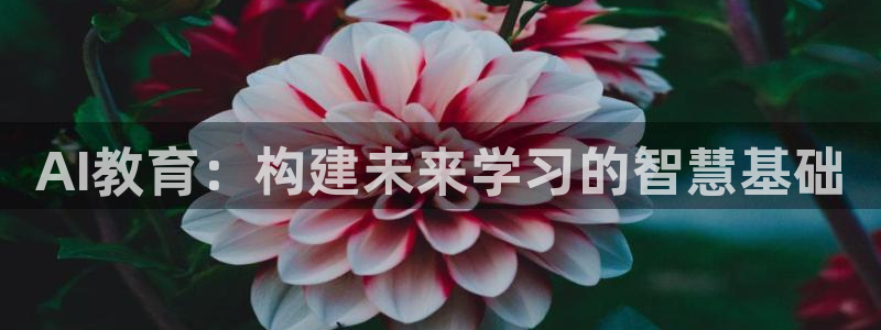 AI教育：构建未来学习的智慧基础