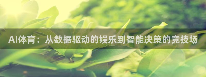 AI体育：从数据驱动的娱乐到智能决策的竞技场