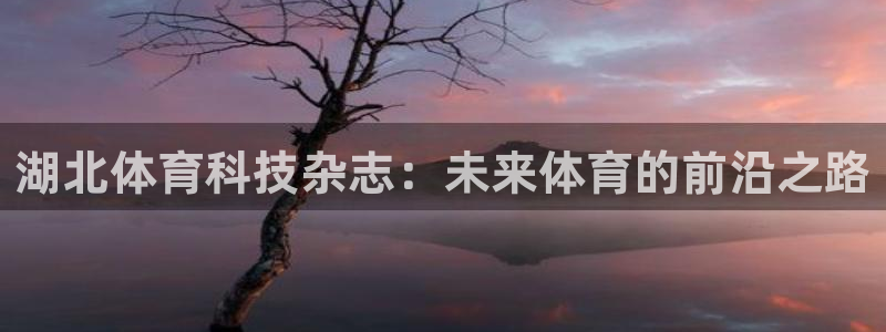 湖北体育科技杂志：未来体育的前沿之路