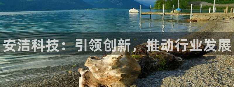 安洁科技：引领创新，推动行业发展