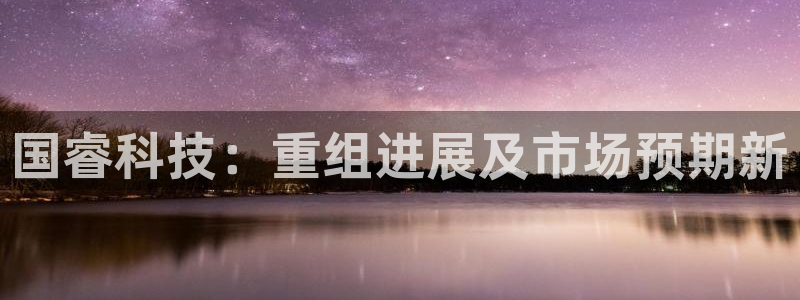 国睿科技：重组进展及市场预期新
