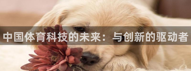 中国体育科技的未来：与创新的驱动者