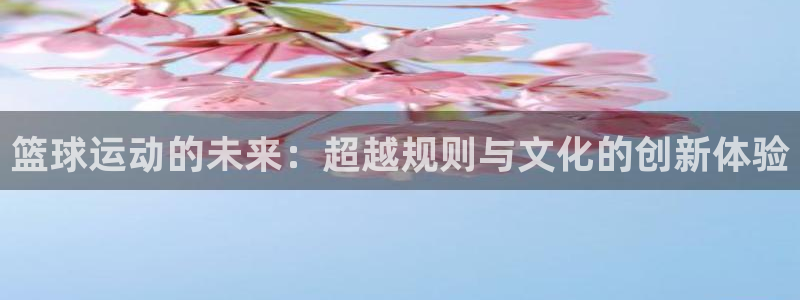 篮球运动的未来：超越规则与文化的创新体验