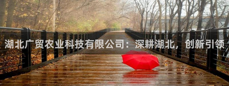 湖北广贸农业科技有限公司：深耕湖北，创新引领