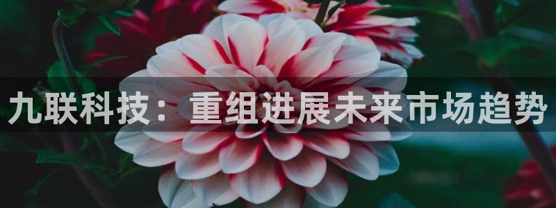 九联科技：重组进展未来市场趋势