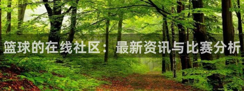 篮球的在线社区：最新资讯与比赛分析