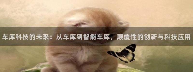 车库科技的未来：从车库到智能车库，颠覆性的创新与科技应用