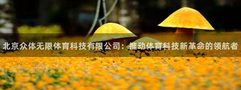 北京众体无限体育科技有限公司：推动体育科技新革命的领航者