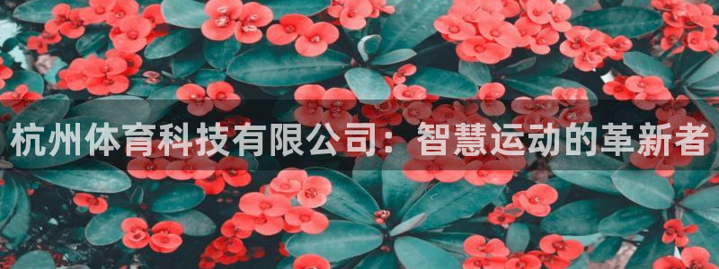 杭州体育科技有限公司：智慧运动的革新者