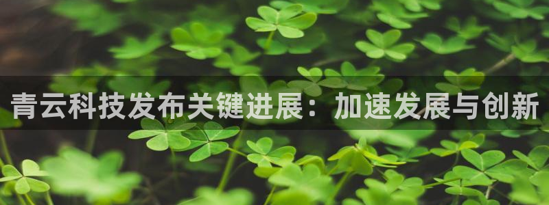 青云科技发布关键进展：加速发展与创新