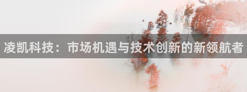 凌凯科技：市场机遇与技术创新的新领航者