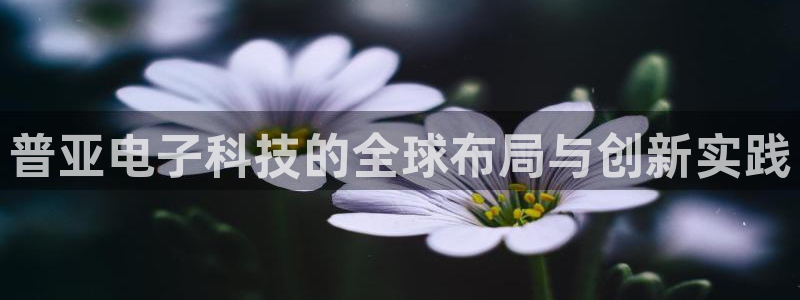 普亚电子科技的全球布局与创新实践