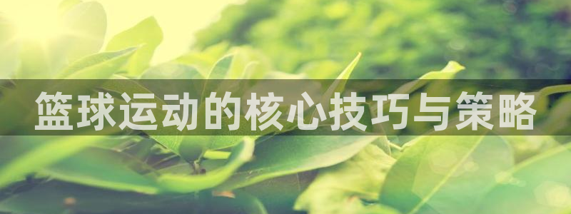 篮球运动的核心技巧与策略