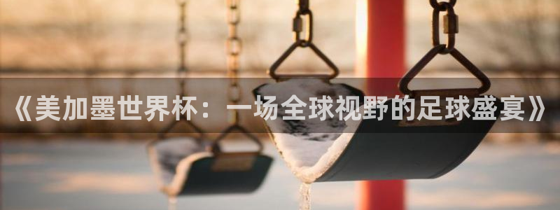 《美加墨世界杯：一场全球视野的足球盛宴》